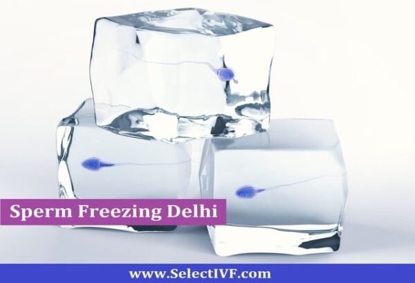 Sperm freezing Delhi