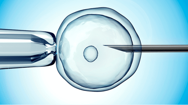 IVF Clinic in Kolkata 2020