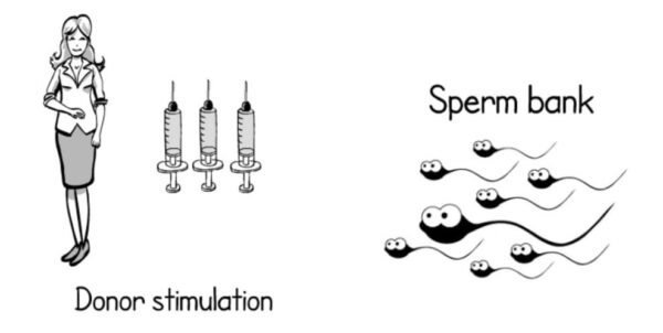 Sperm Donor Cost Bangalore