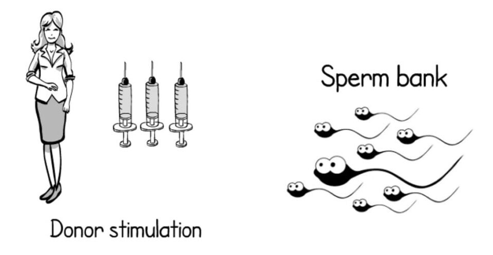 Sperm Donor Cost Bangalore