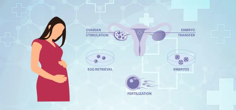 IVF Cost Calculator 2020