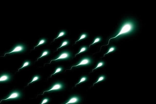 How to increase sperm count and volume