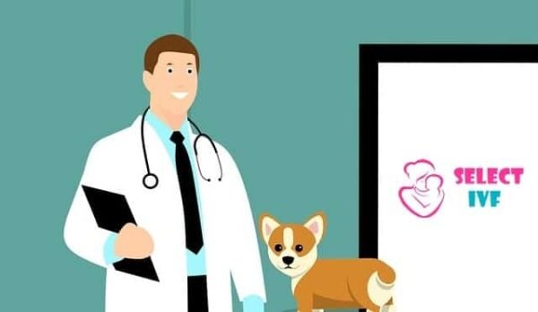 Cost of IVF in Chembur