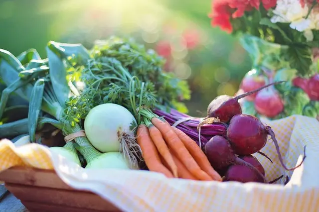 PCOD Diet Food Chart & Tips - Select IVF