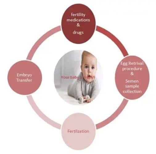 ivf hyderabad 2019
