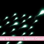 How to Increase Sperm Count 2020