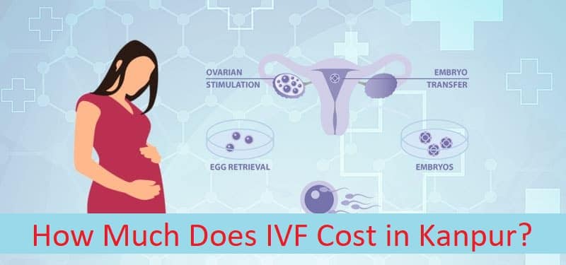 How Much Does Ivf Treatment Cost In Kanpur 2021