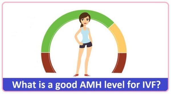 good AMH level for IVF