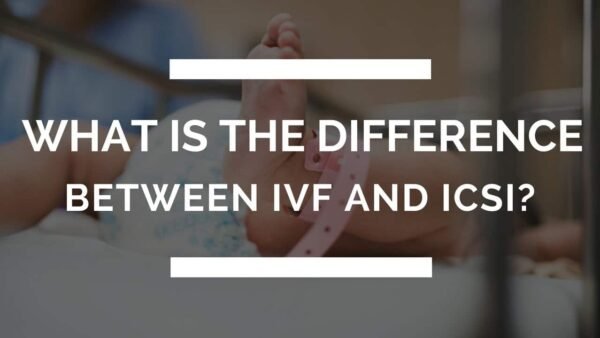 difference between ICSI and IVF difference between ICSI and IVF