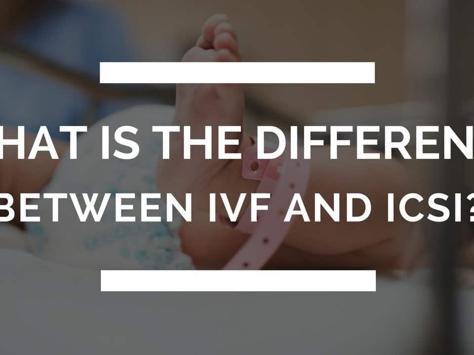 difference between ICSI and IVF