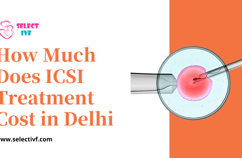 How Much Does ICSI Treatment Cost in Delhi