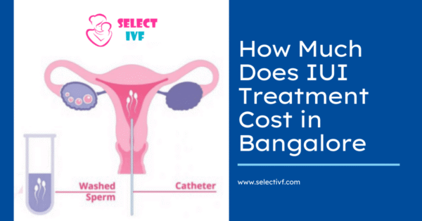 iui treatment cost in bangalore 2020 iui treatment cost in bangalore 2020