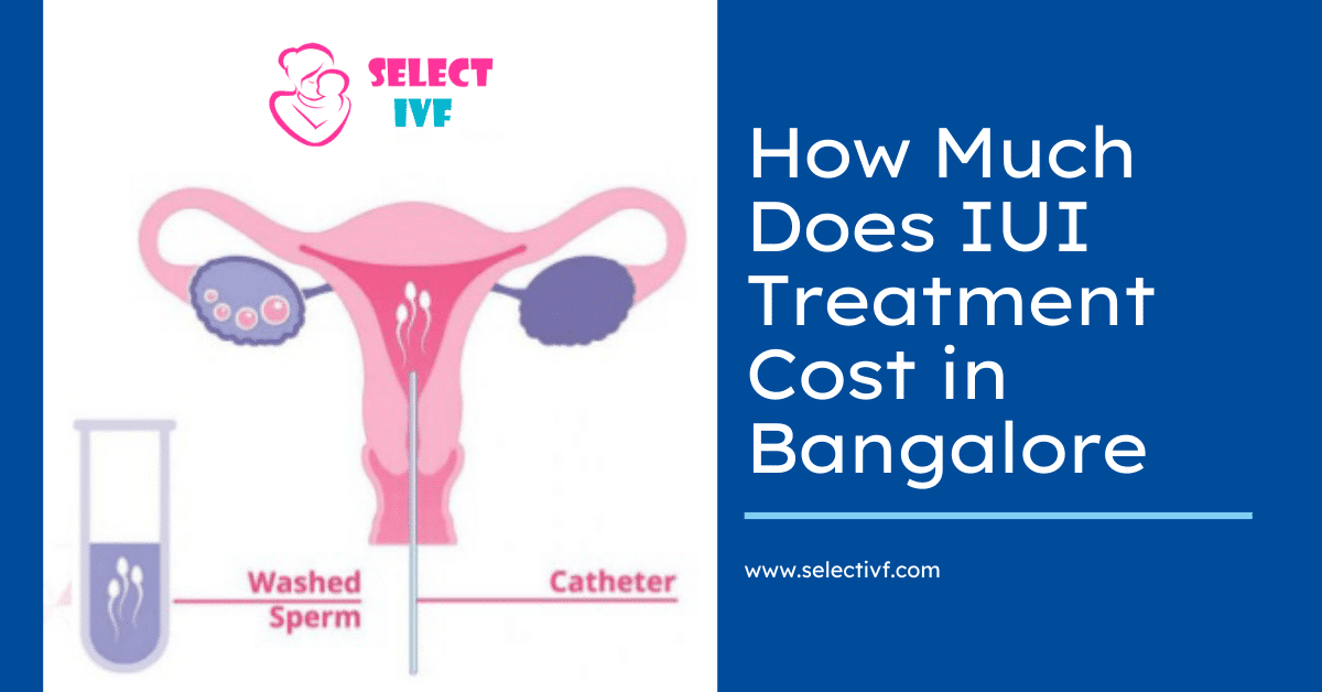 iui treatment cost in bangalore 2020 iui treatment cost in bangalore 2020
