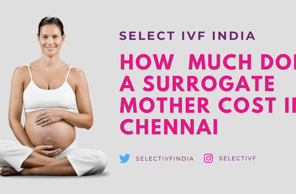 surrogate mother cost in chennai