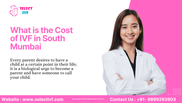 Cost of IVF in South Mumbai