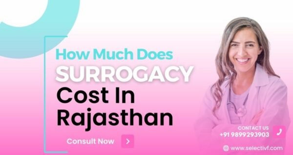 How Much Does Surrogacy Cost In Rajasthan How Much Does Surrogacy Cost In Rajasthan 2023