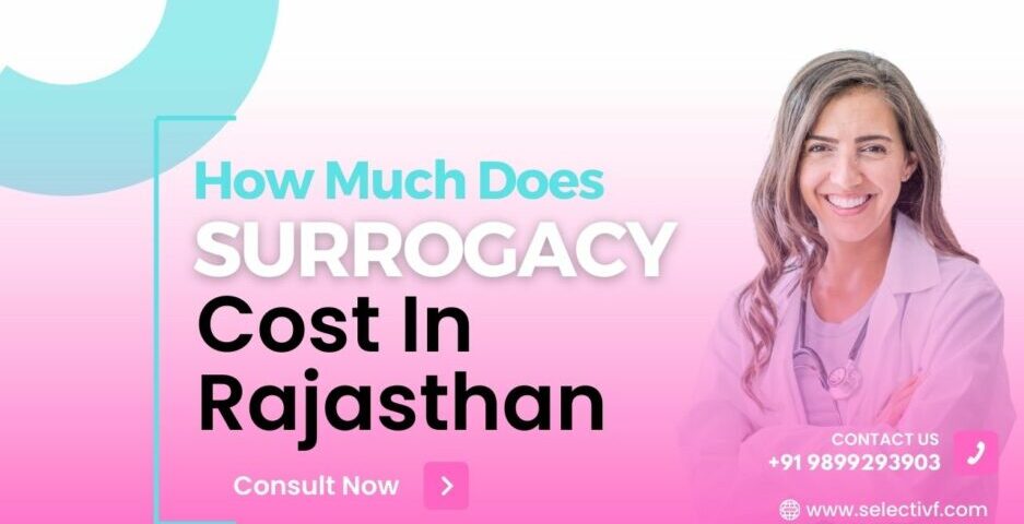 How Much Does Surrogacy Cost In Rajasthan 2023