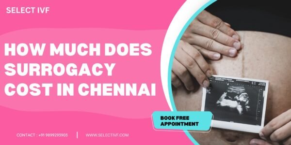 How Much Does Surrogacy Cost in Chennai 2023?