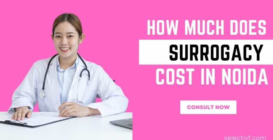 How Much Does Surrogacy Cost in Noida 2023