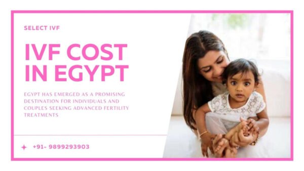 IVF Cost in Egypt IVF Cost in Egypt