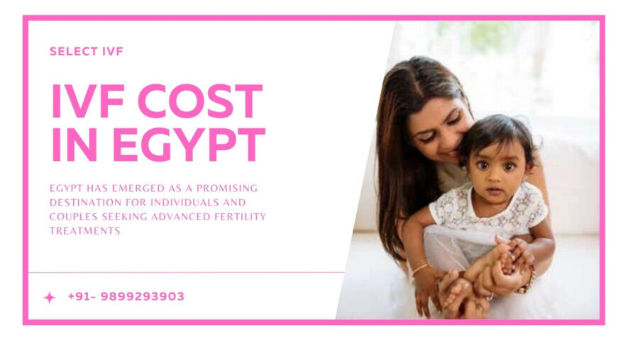 IVF Cost in Egypt