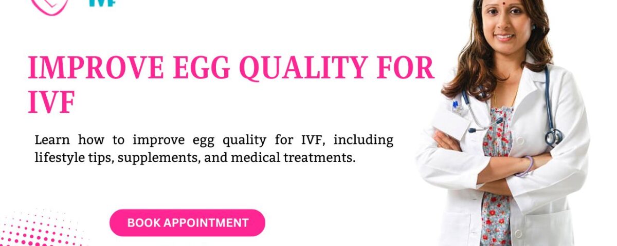 Improve Egg Quality for IVF