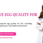 Improve Egg Quality for IVF