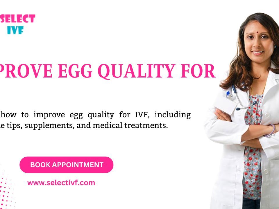 Improve Egg Quality for IVF
