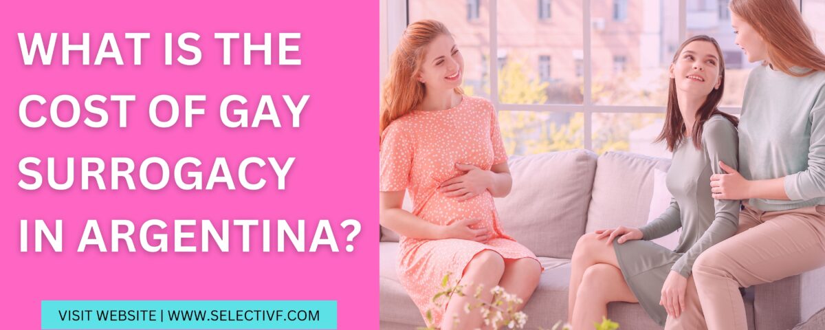 What is The Cost of Gay Surrogacy in Argentina 2023?