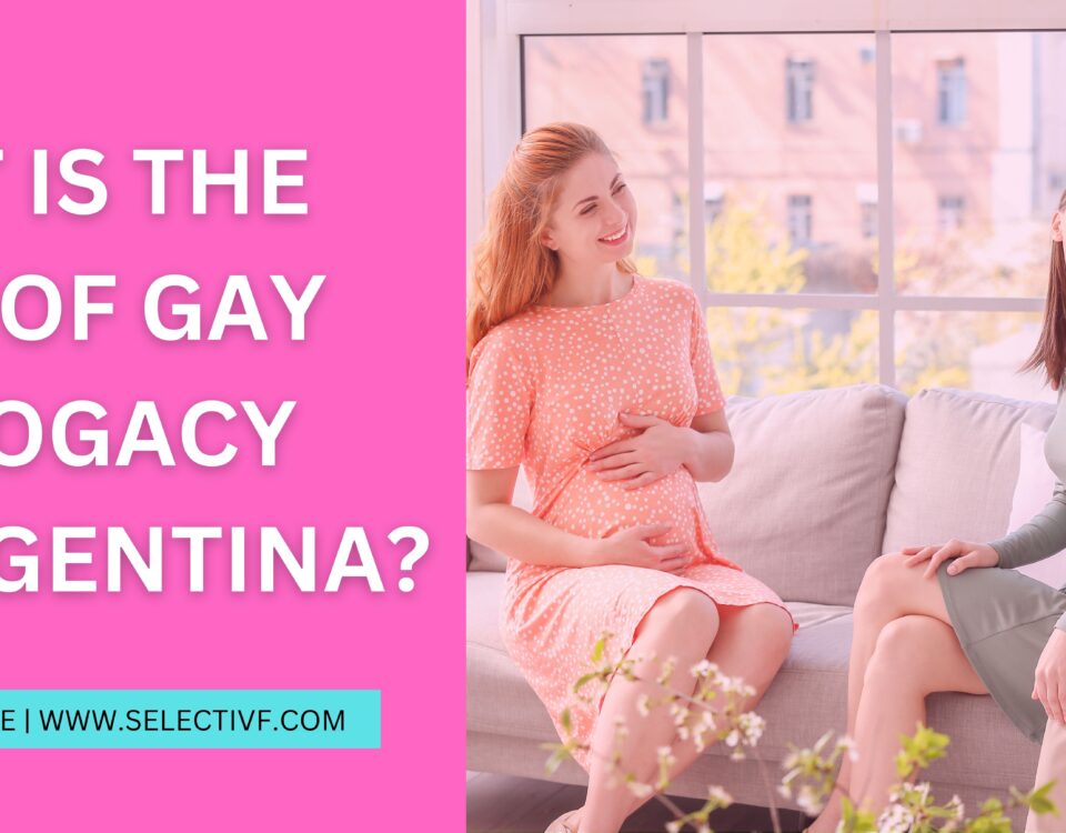 What is The Cost of Gay Surrogacy in Argentina 2023?