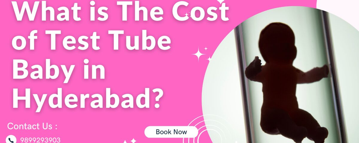 What is The Cost of Test Tube Baby in Hyderabad?
