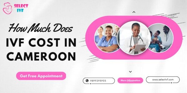 How Much Does IVF Cost in Cameroon How Much Does IVF Cost in Cameroon 2023