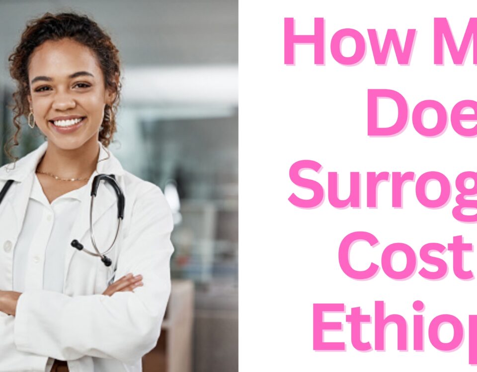 How Much Does Surrogacy Cost in Ethiopia 2023