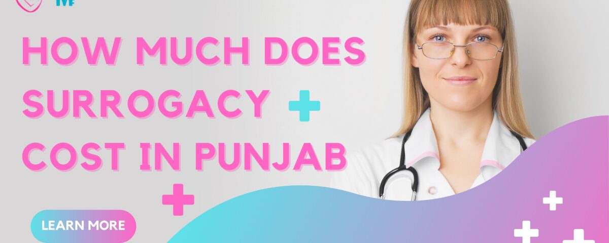 How Much Does Surrogacy Cost in Punjab 2023