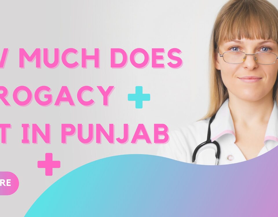 How Much Does Surrogacy Cost in Punjab 2023