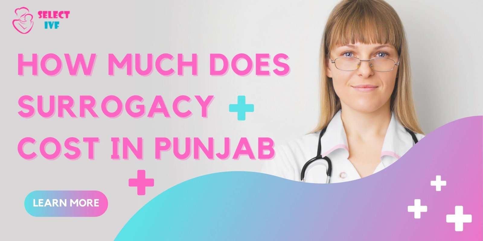How Much Does Surrogacy Cost in Punjab 2023
