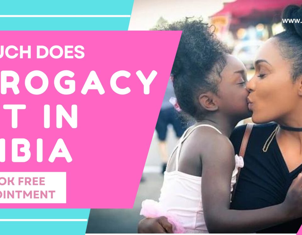 How Much Does Surrogacy Cost in Zambia 2023