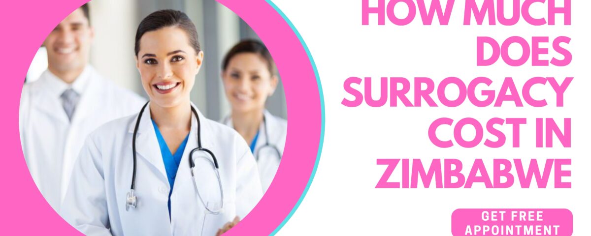 How Much Does Surrogacy Cost in Zimbabwe 2023