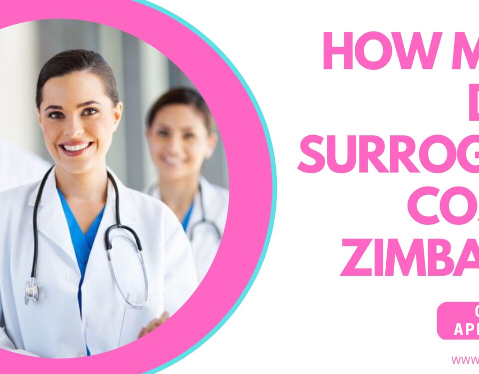 How Much Does Surrogacy Cost in Zimbabwe 2023