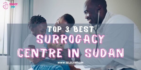 Top 3 Best Surrogacy Centre in Sudan 2023