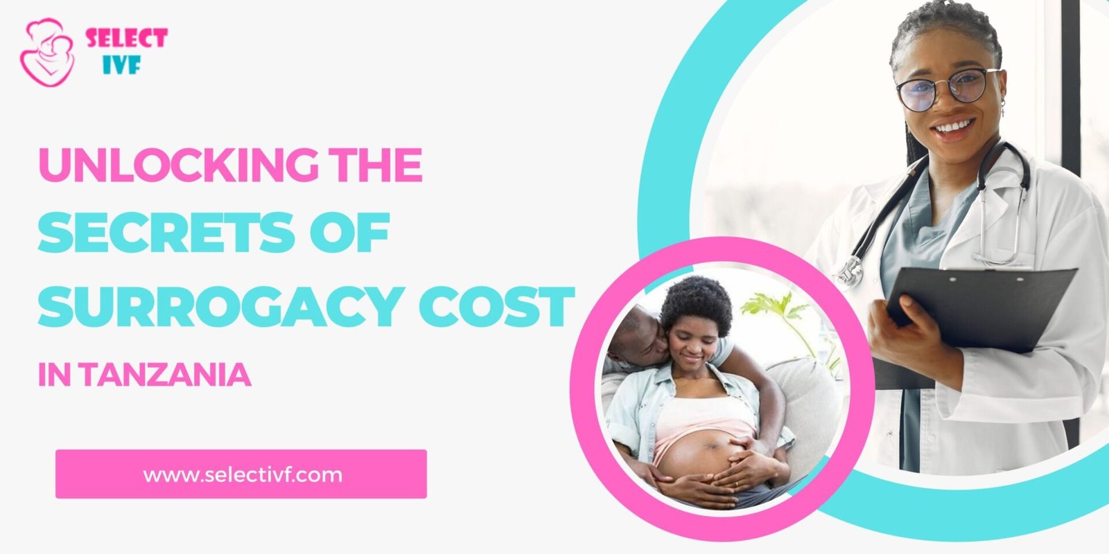 Unlocking the secrets of surrogacy costs in Tanzania