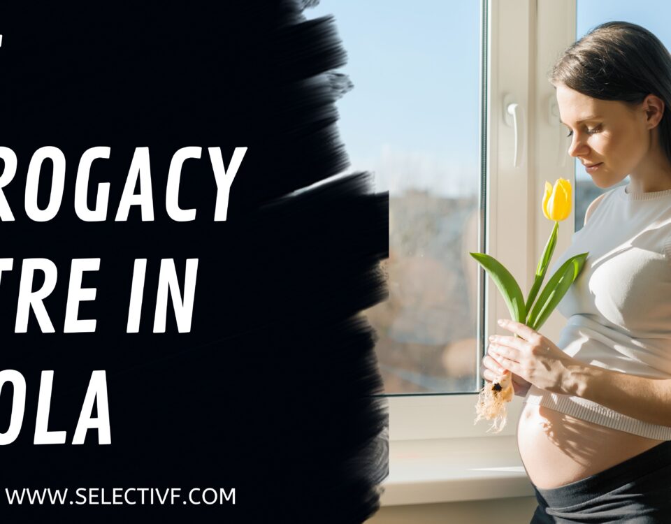 Best Surrogacy Centre in Angola 