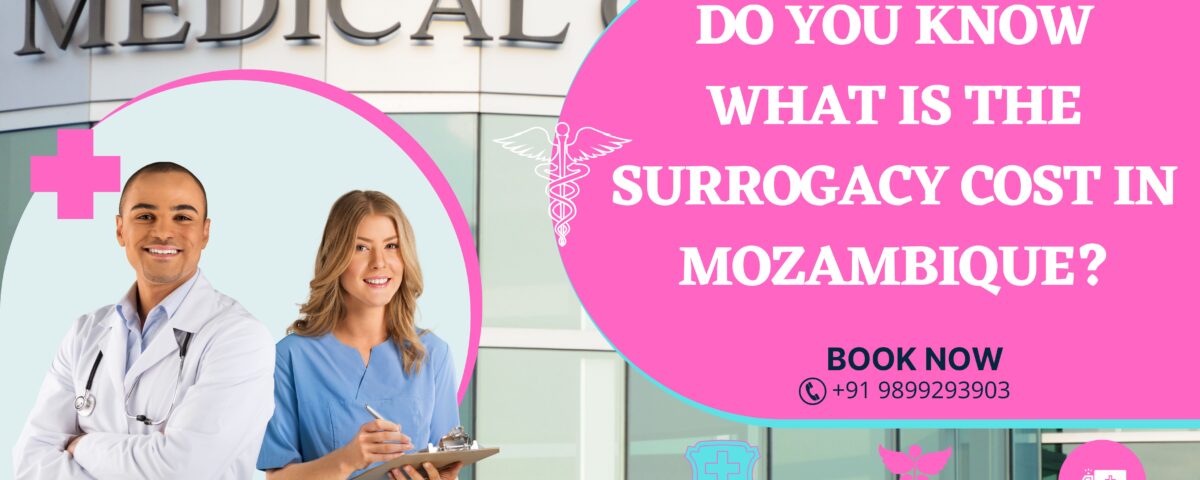 Surrogacy Cost in Mozambique