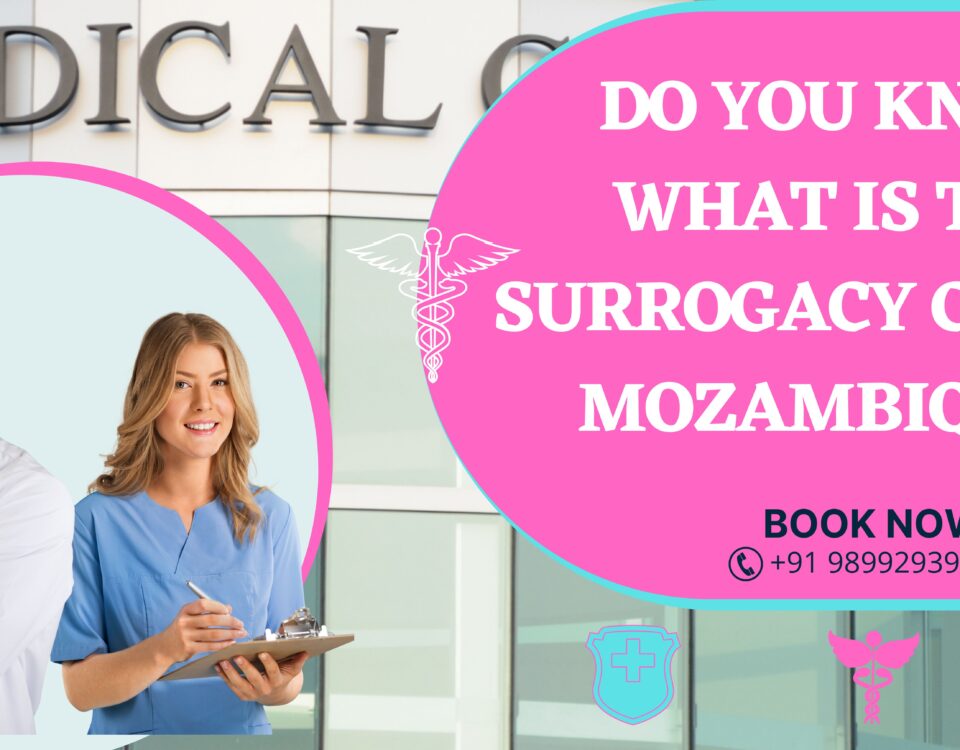 Surrogacy Cost in Mozambique