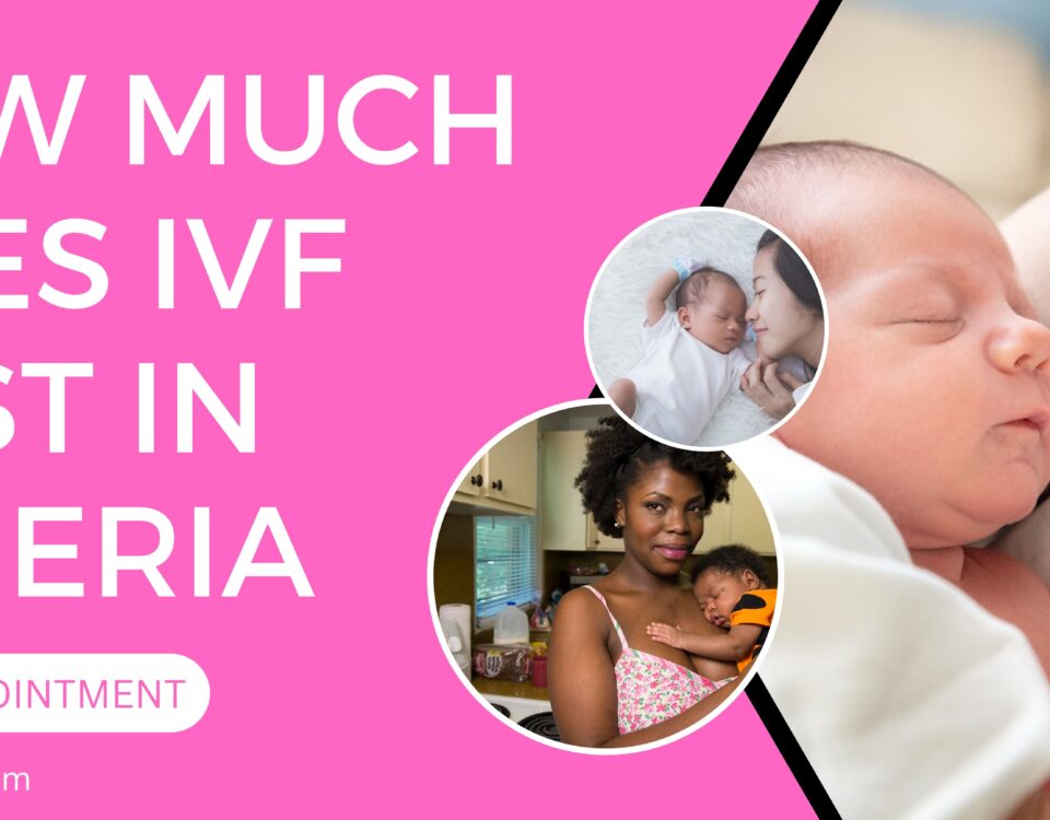 How Much Does IVF Cost in Algeria 2023