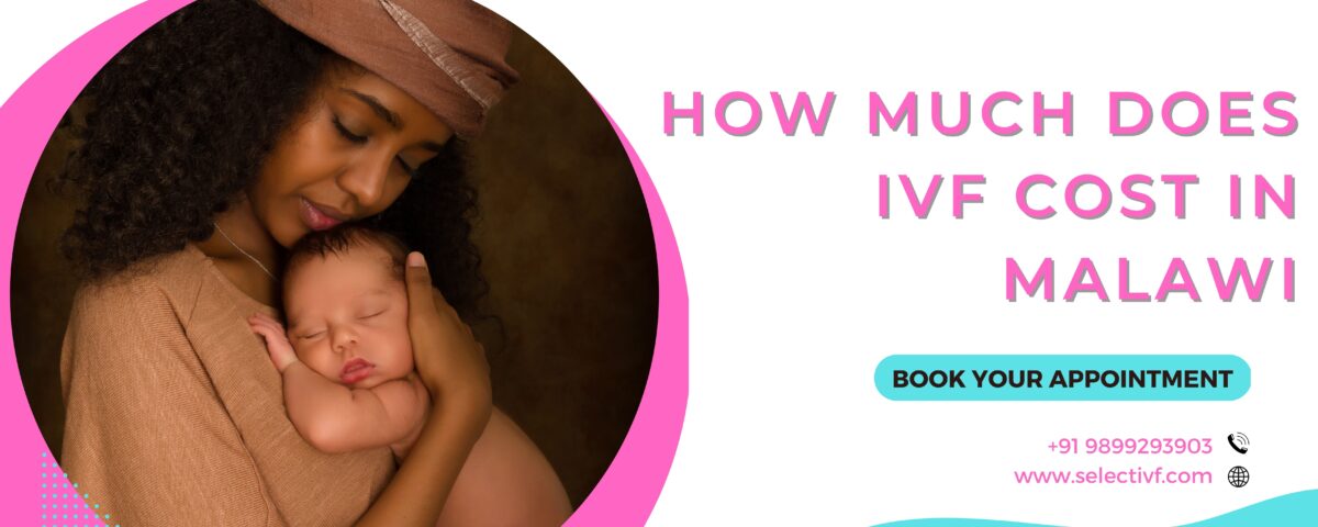 How Much Does IVF Cost in Malawi 2023?