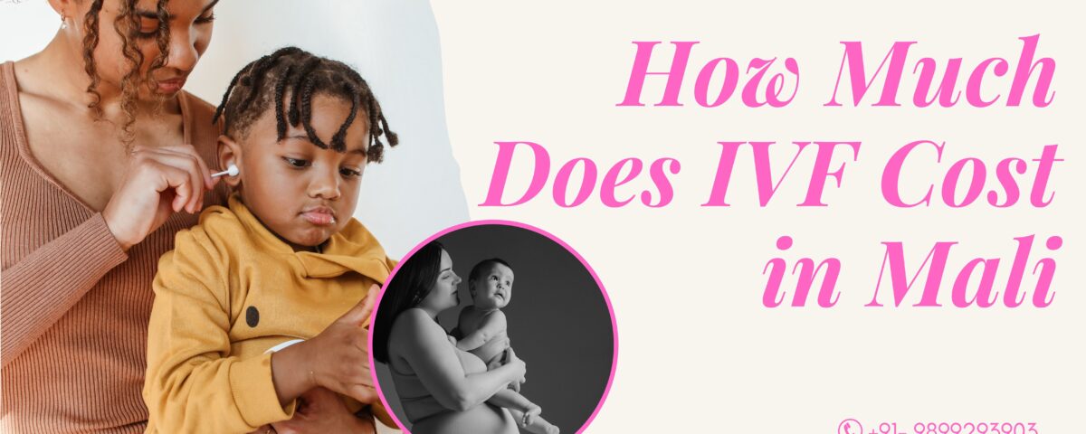 How Much Does IVF Cost in Mali 2023?