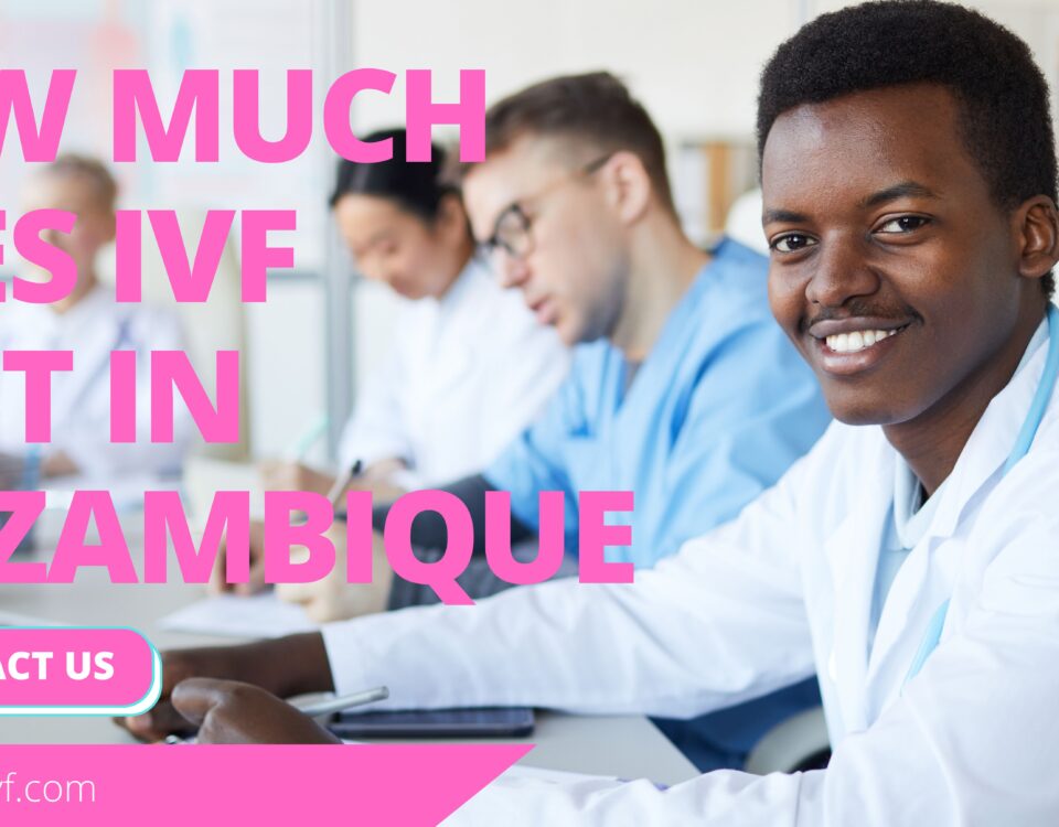 How Much Does IVF Cost in Mozambique 2023? 
