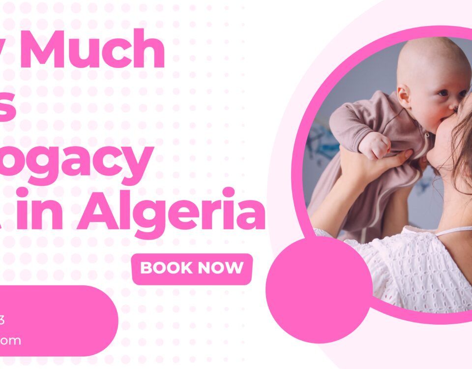 How Much Does Surrogacy Cost in Algeria 2023