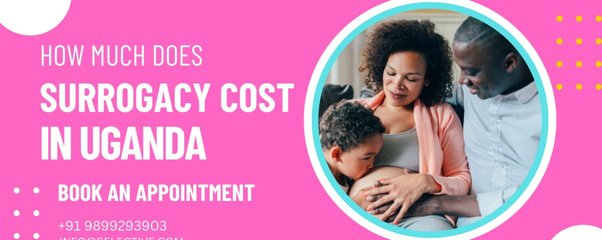 How Much Does Surrogacy Cost in Uganda 2023